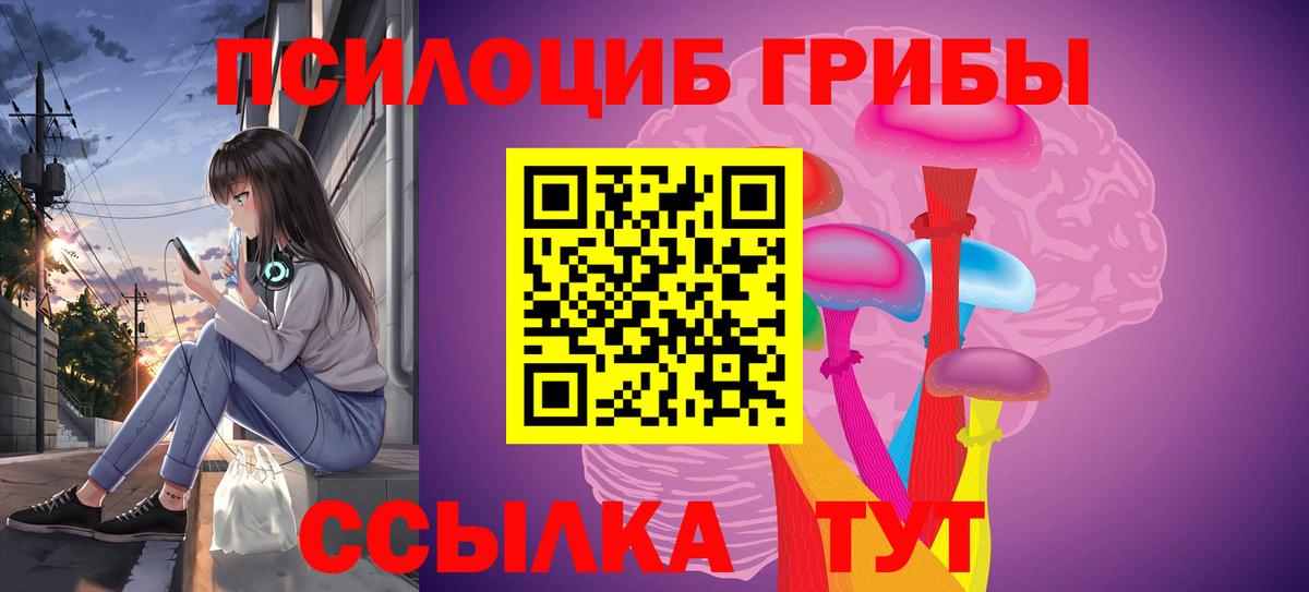 Псилоцибиновые грибы прущие грибы  Вход с VPN  Брянск 
